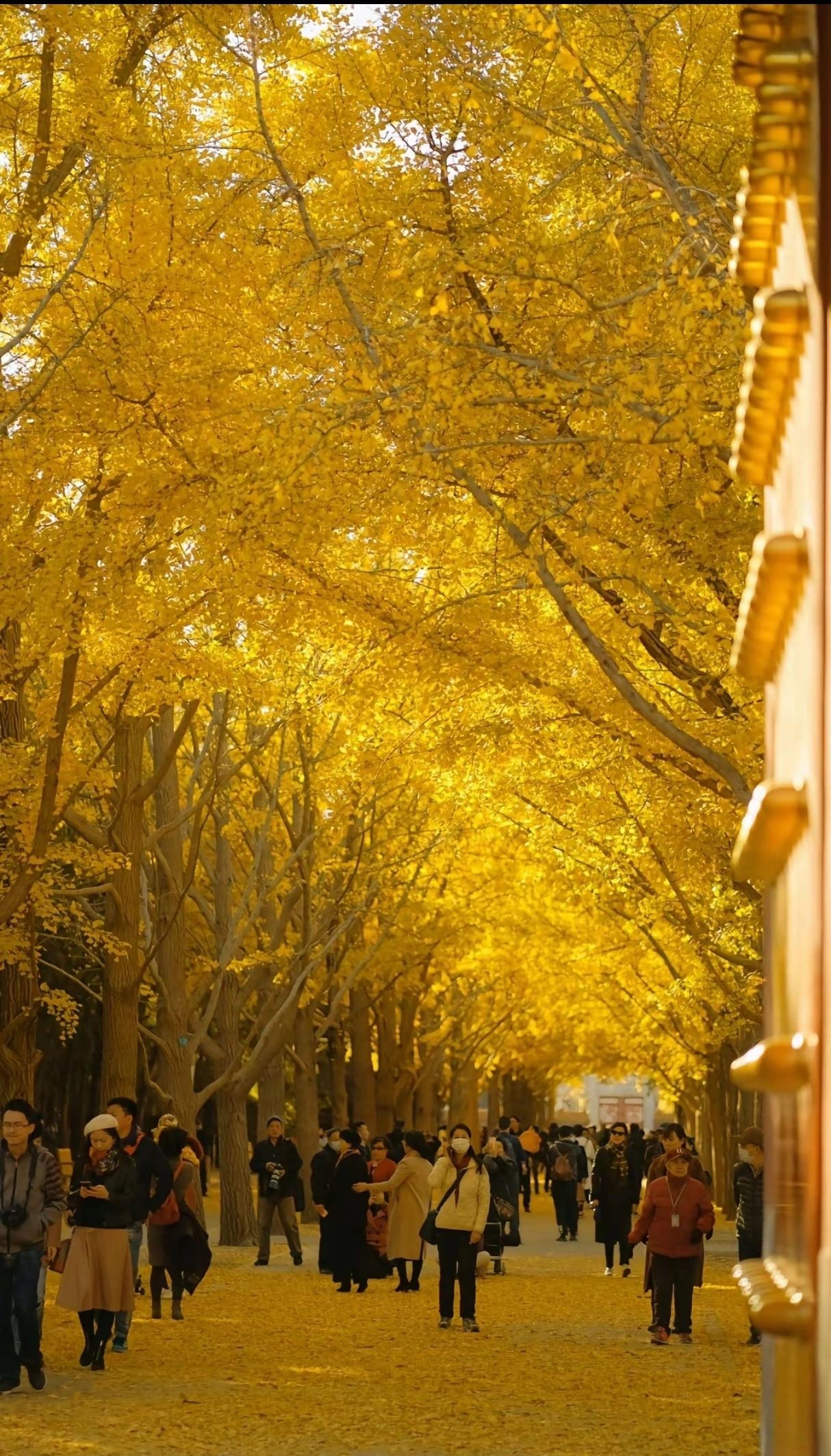 10月北京旅游赏秋叶有哪几个地方
