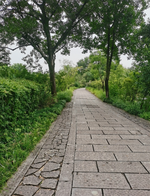 今天我在公交车上听到一位阿婆跟她朋友说：“老伴去年过世了，原来得癌症，化疗后好了