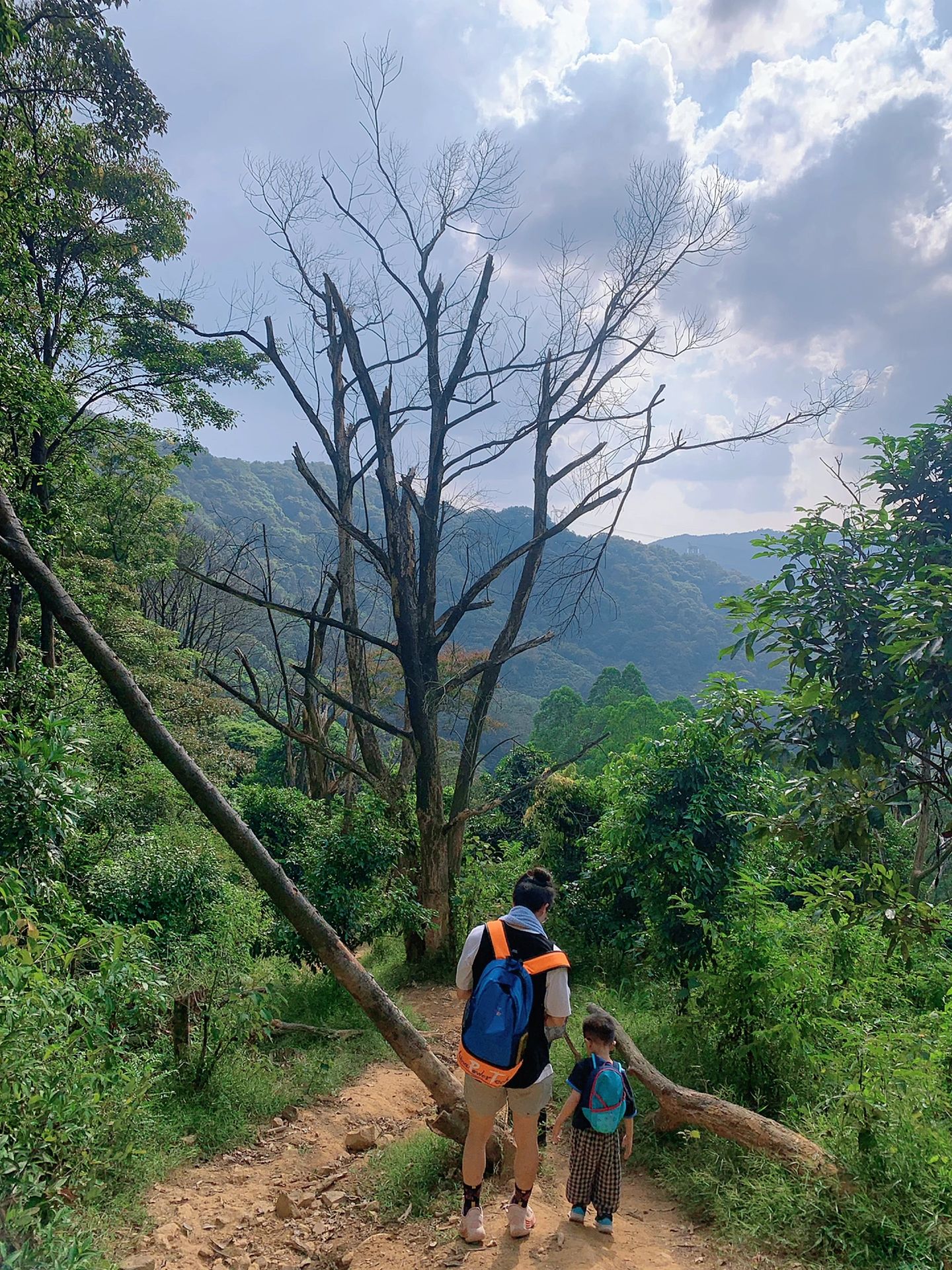 广州徒步路线推荐 ｜ 金坑油麻山线