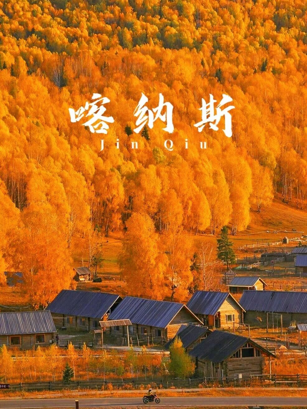 秋天一定要去一次北疆，感受美丽的秋色