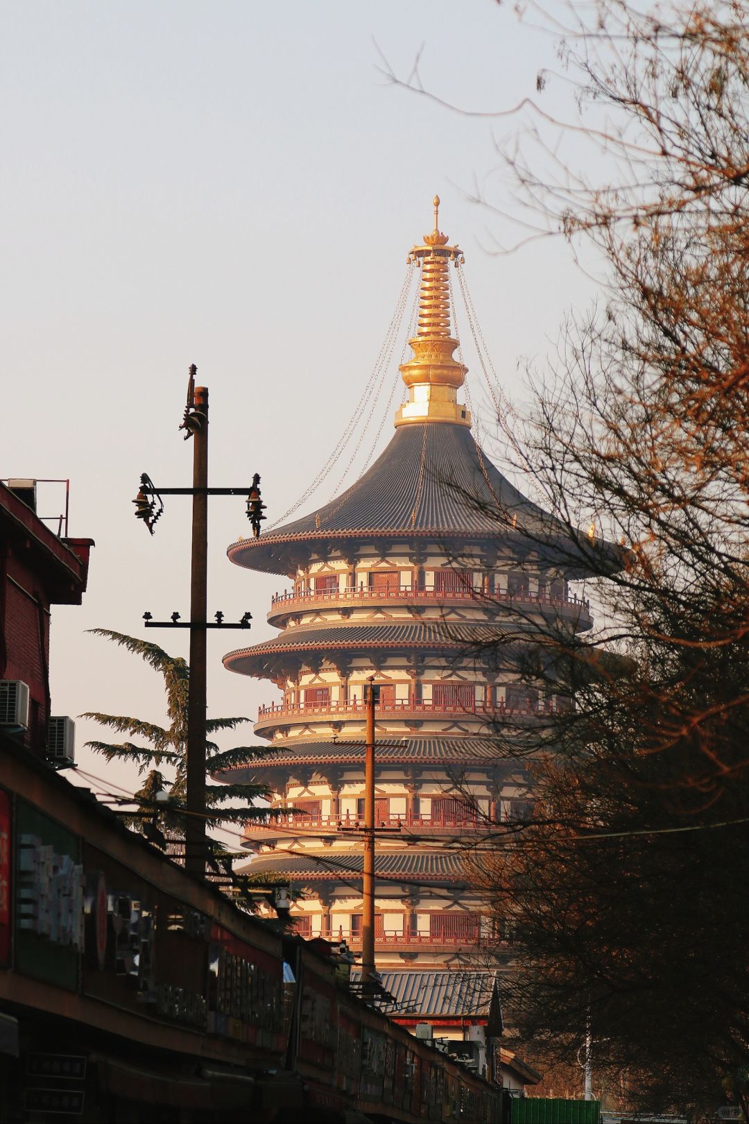 河南文旅我再救你一下