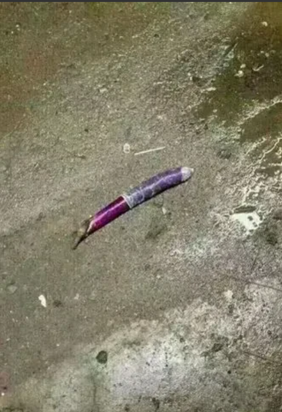 好好的怎么就扔了，多浪费