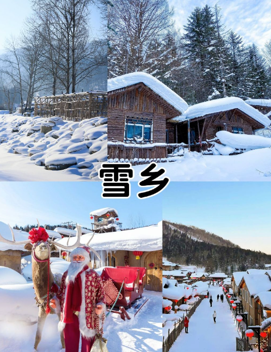 赏雪❄玩雪的天花板

哈尔滨3日2晚纯玩
