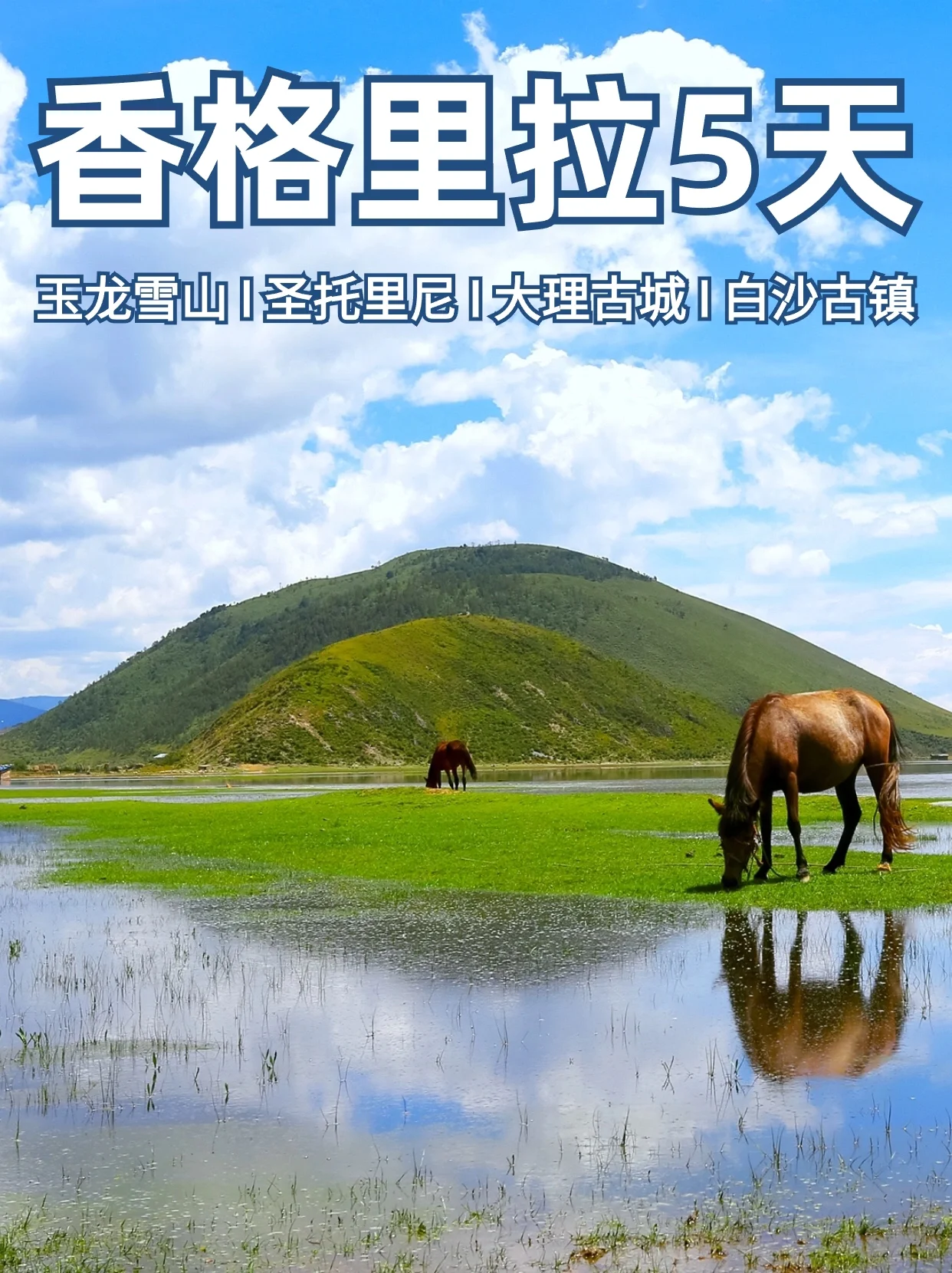 云南之旅🔥浪漫香格里拉6天5晚快来吧