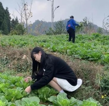 这是去地里除草，还是施肥呢