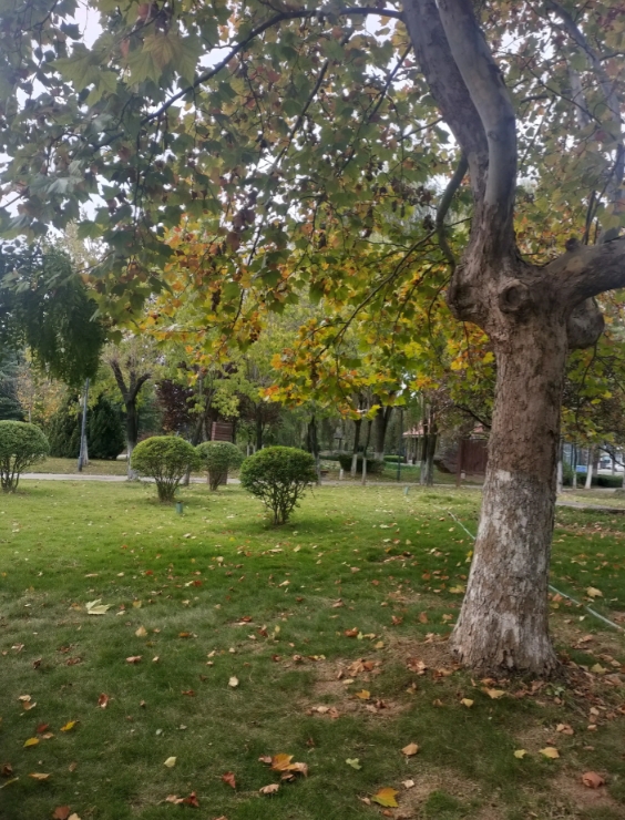 一个人现实到什么程度？昨天，我们村书记家嫁女儿，在大酒店摆了150多桌，真是热闹