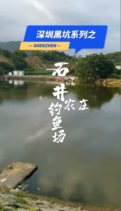 试钓石井农庄钓鱼场