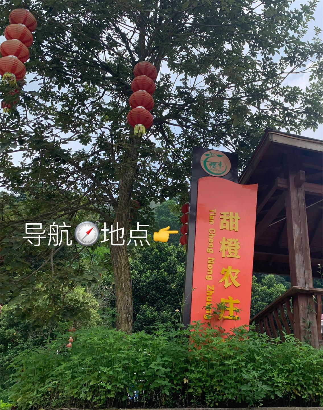 广州带娃徒步👉帽峰山