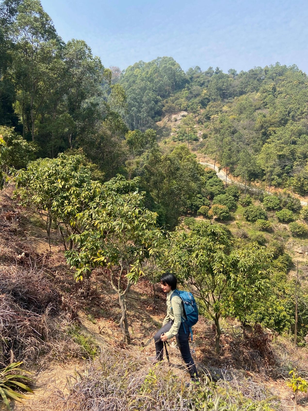 户外｜小白云山 广州市区徒步登山拉练路线