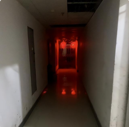 邻居的妈妈从乡下过来，坚持要给门口挂上两个大红灯笼。

白天看起来确实挺喜庆的，