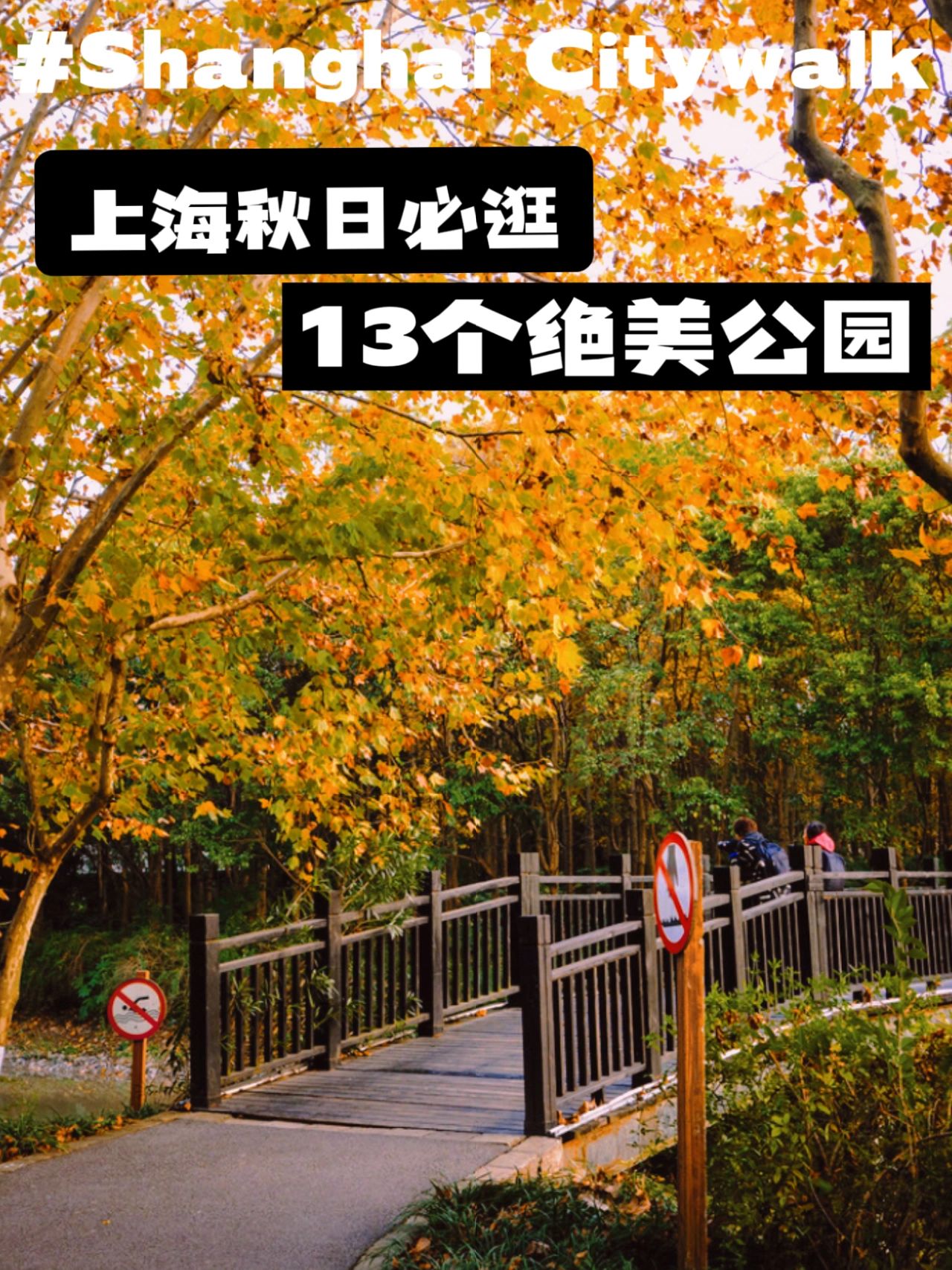 上海秋日必去，13个绝美秋色公园