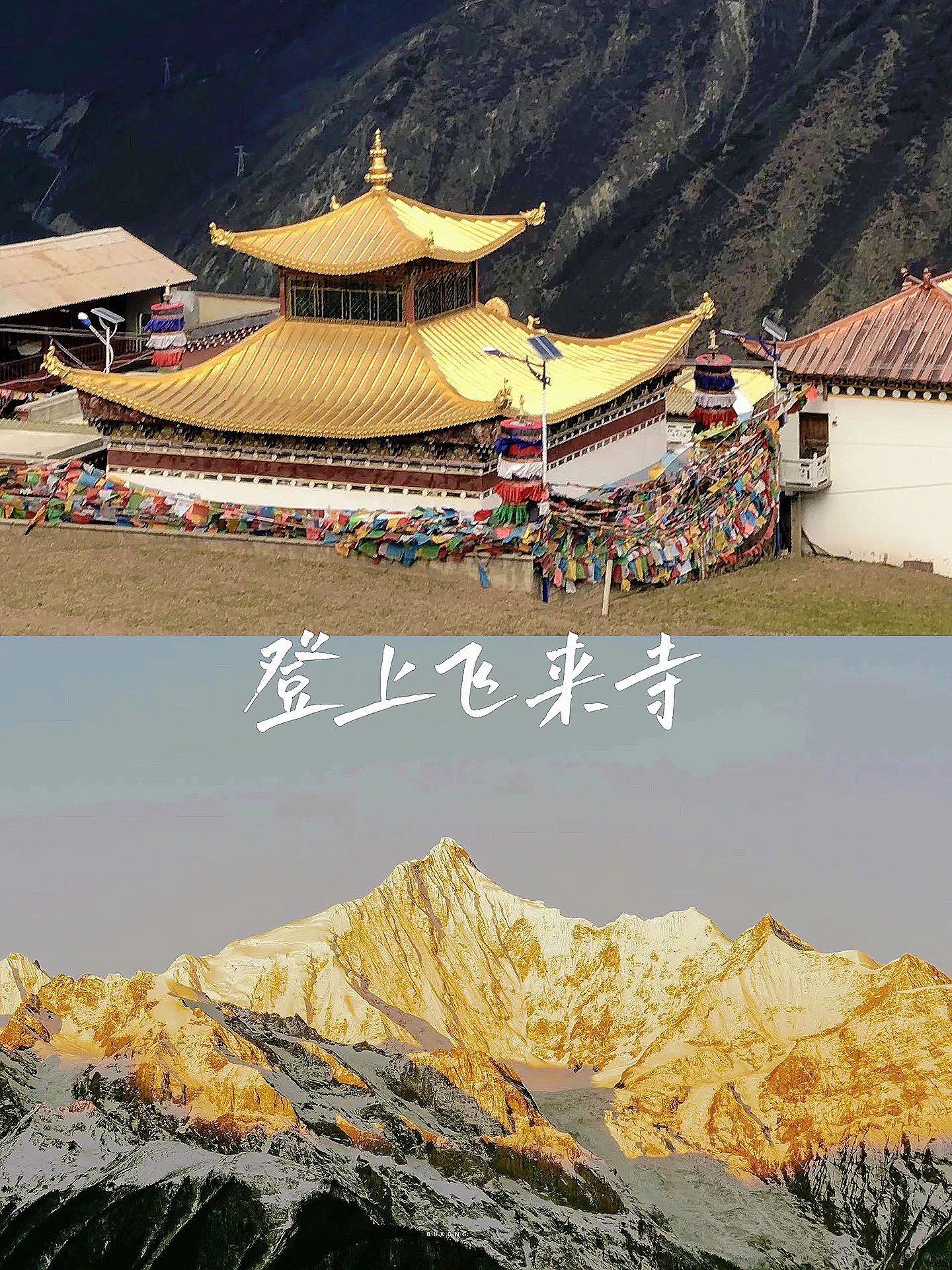 暑期带娃去香格里拉，6天超详细攻略来了