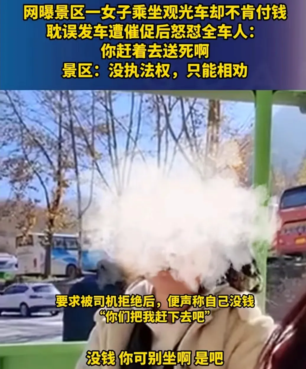 河南，洛阳。一名女子在景区坐观光车的时候，不想扫码付钱，对方提醒多次后她却直接来
