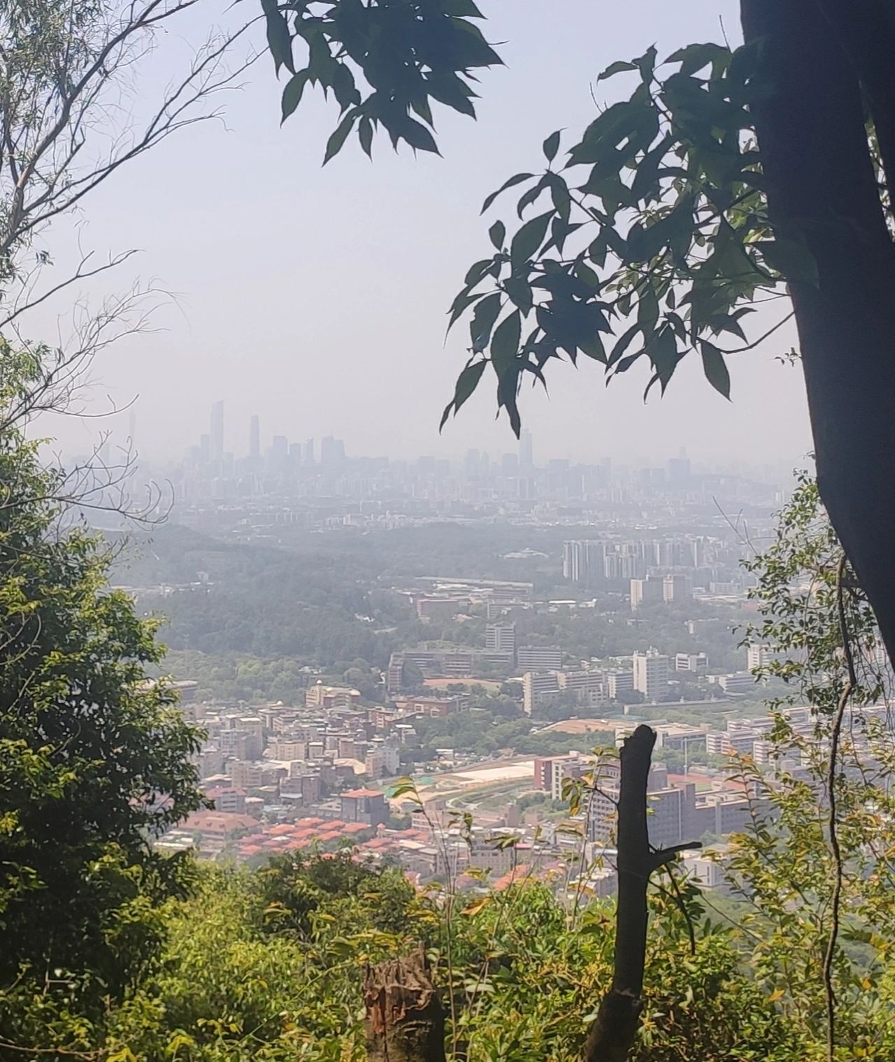 广州徒步入门路线—凤凰山