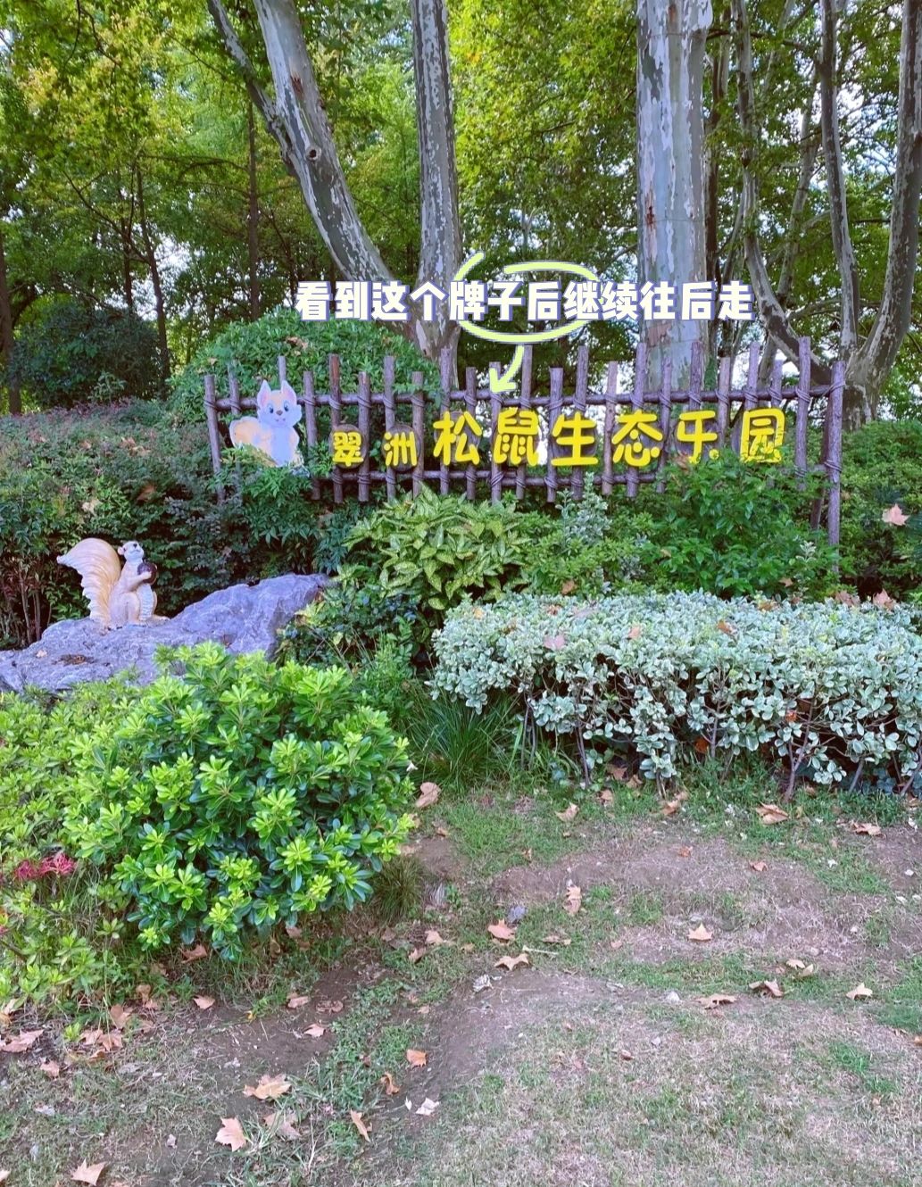 玄武湖感受5元钱喂松鼠的快乐|亲子游