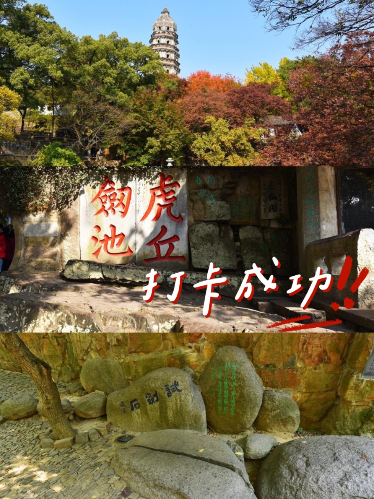 苏州攻略|游虎丘 观斜塔 赏竹林