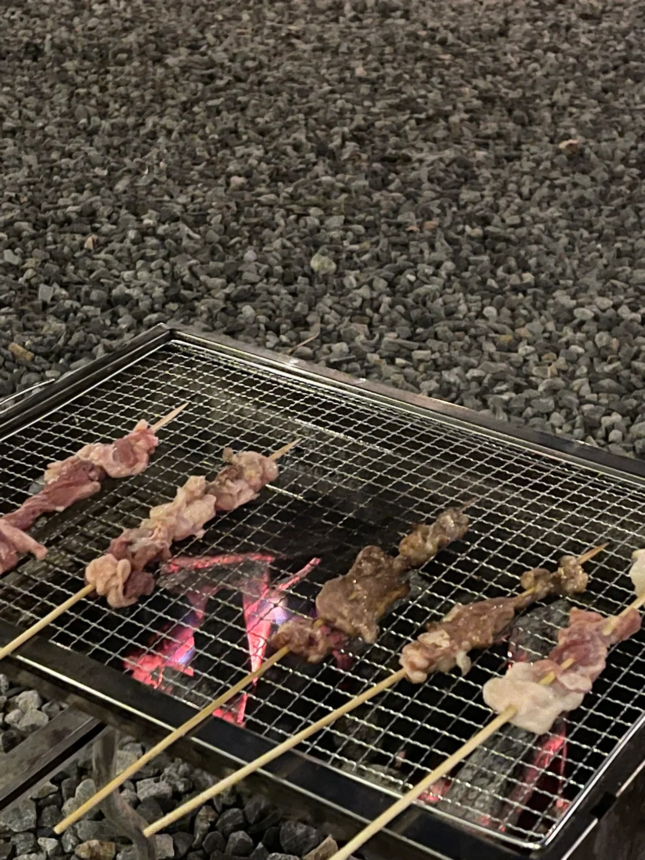 广州不过夜的露营｜带上狗狗一起来露营啦