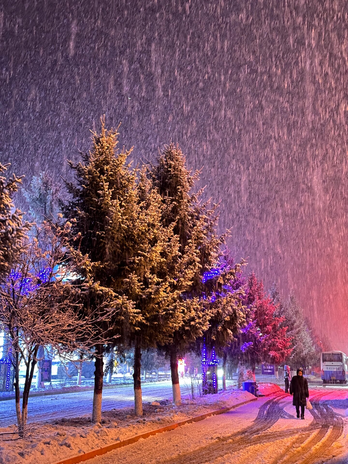 东北旅行｜Day2亚布力滑雪⛷️