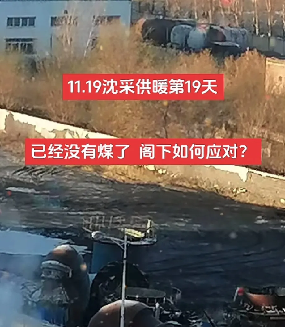11.19日沈阳供暖第19天，煤都没有了，供暖公司不装了，摊牌了……这点煤原来只