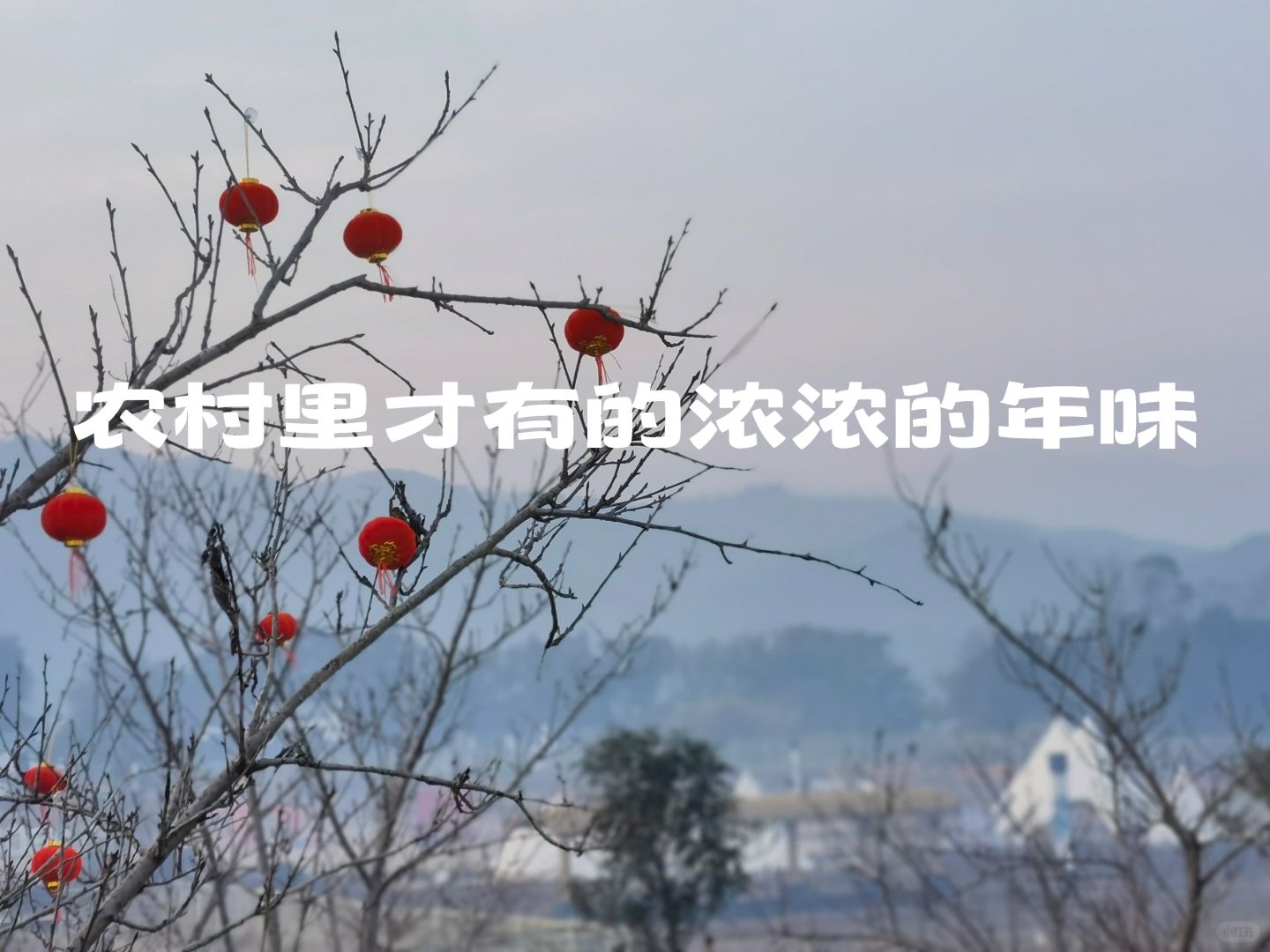 只有在农村才能感受到的浓浓的年味儿
#镜头里的年味

80后江浙沪独生女及其独生