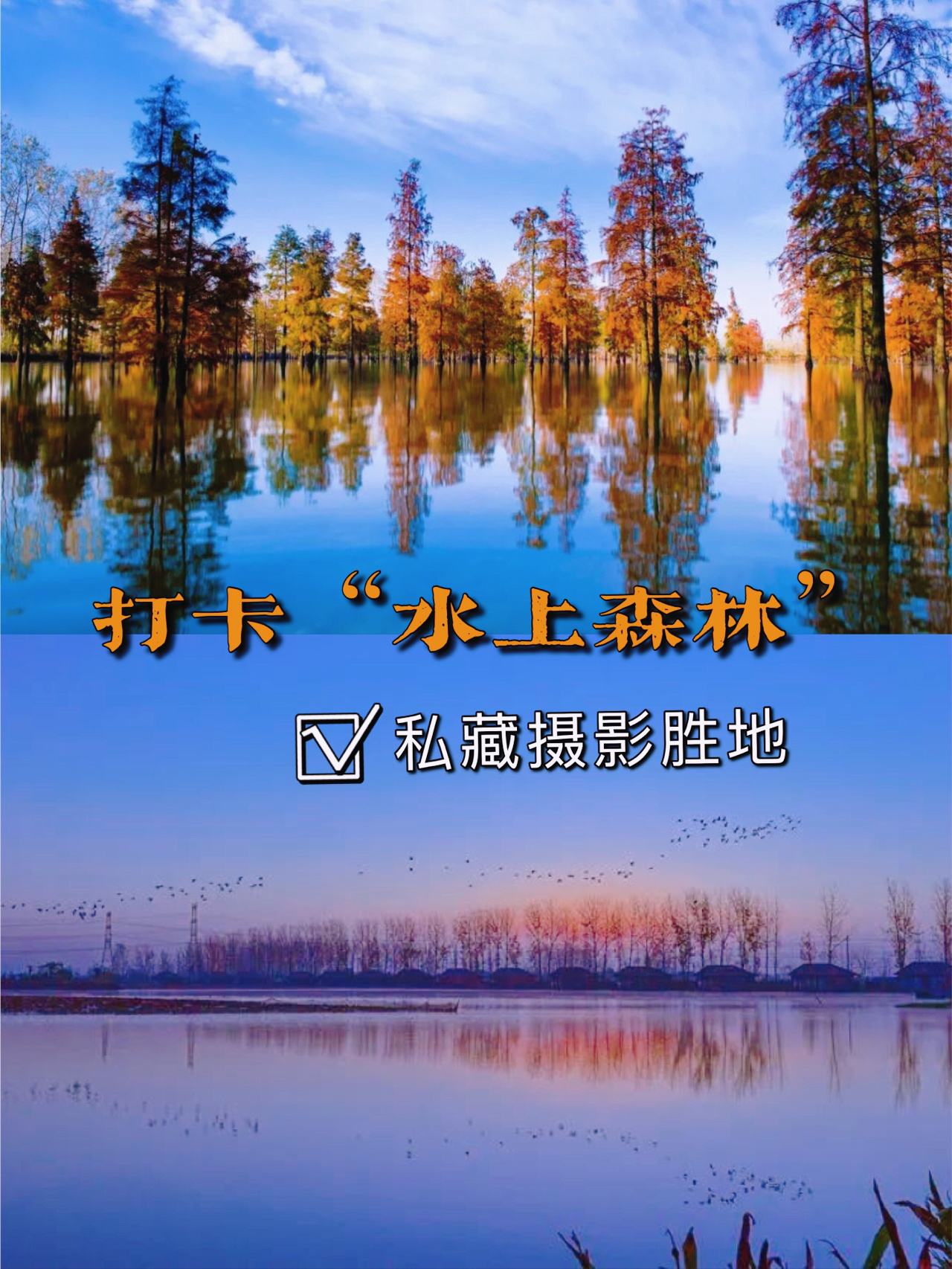 南京私藏胜地，驱车1h打卡“水上森林