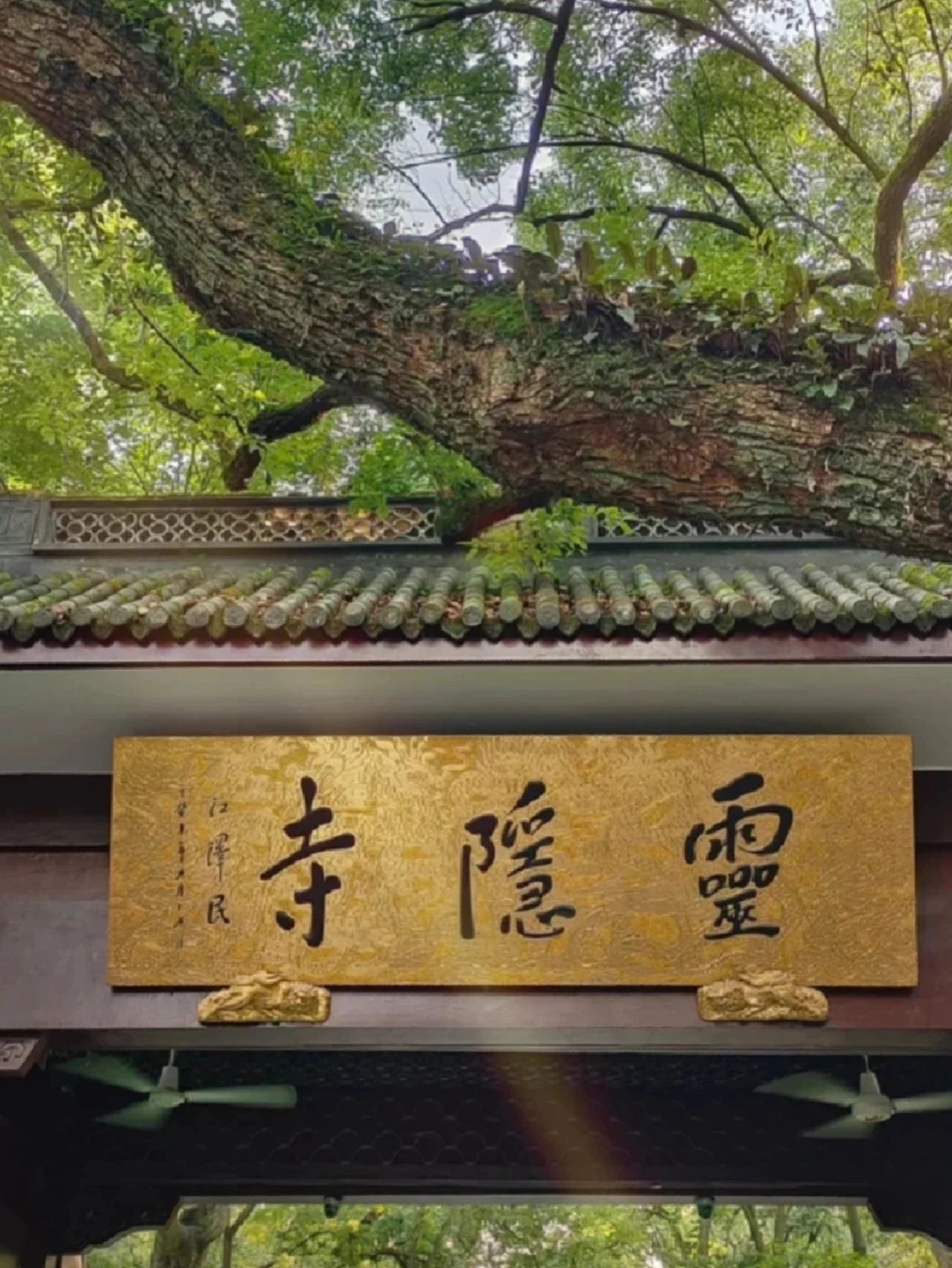 去了杭州99次，还是最喜欢这里🤪