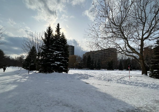 独自赏雪