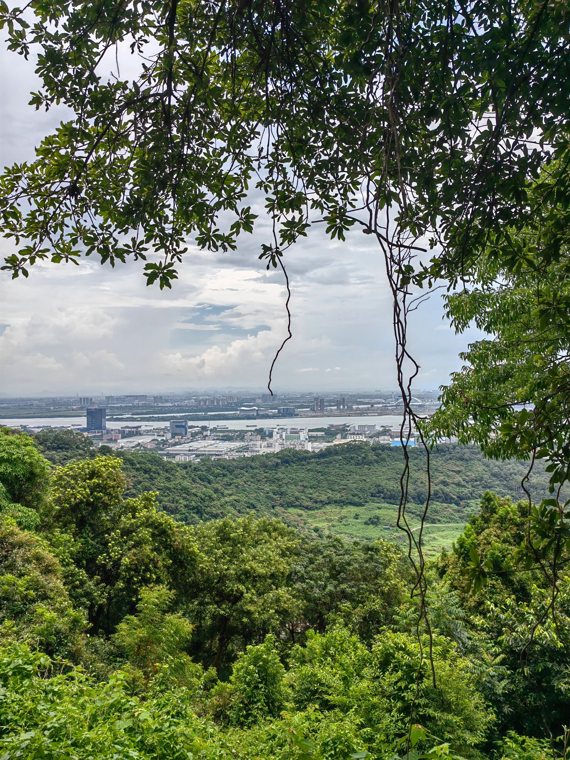 徒步｜黄山鲁公园📍