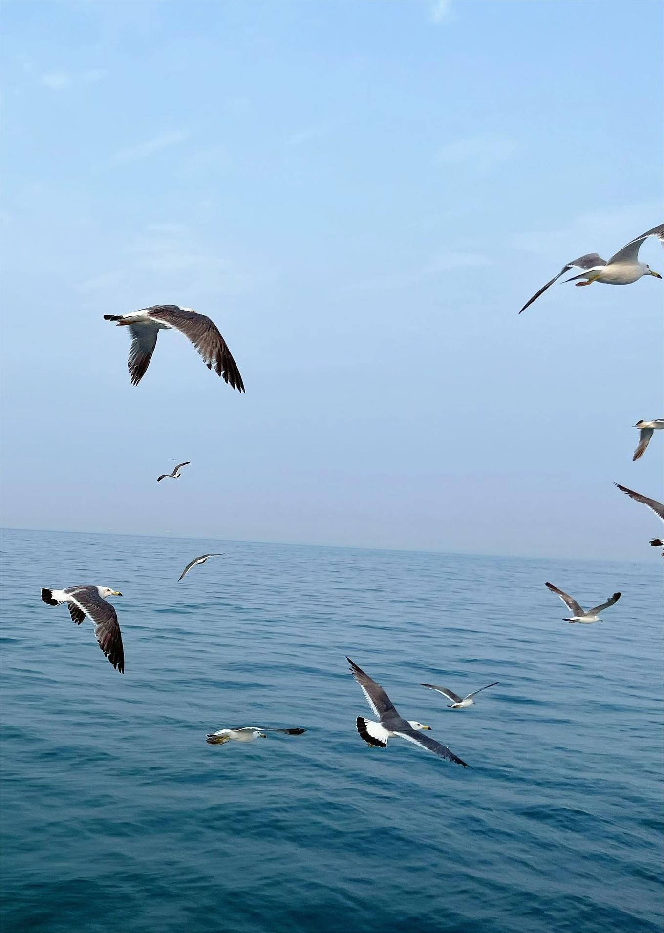 暑假冲威海！！