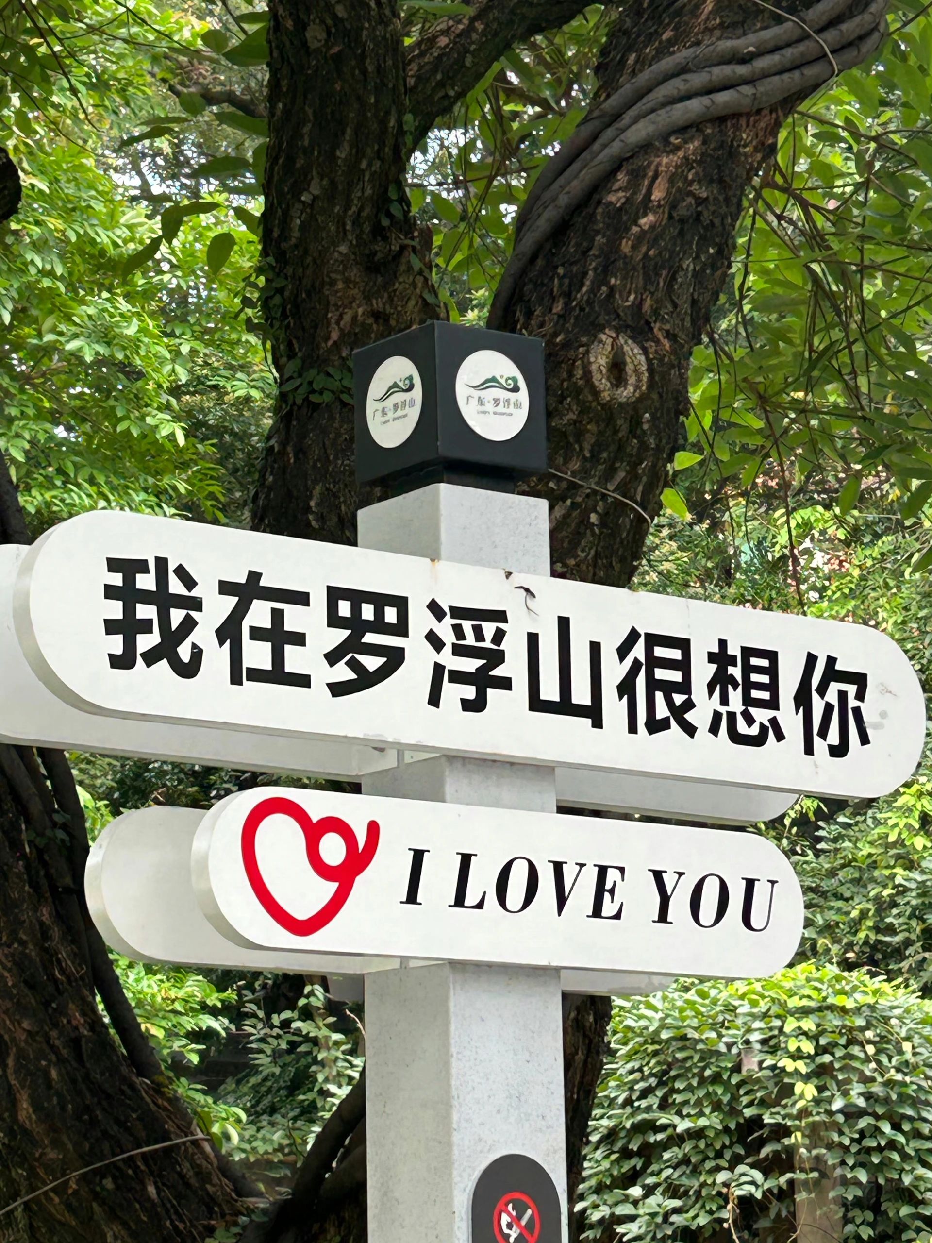 罗浮山旅游攻略|感受生活慢节奏