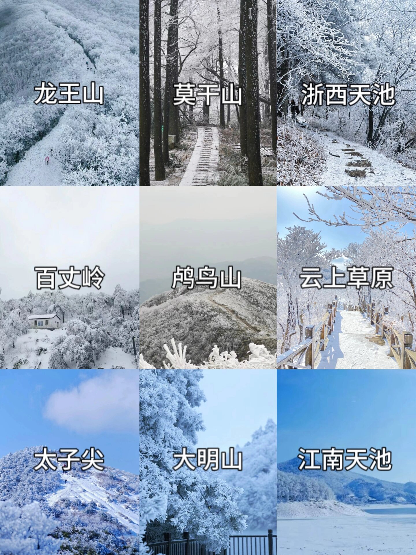 上海周边赏雪❄️赶紧码住！这一篇就够用了