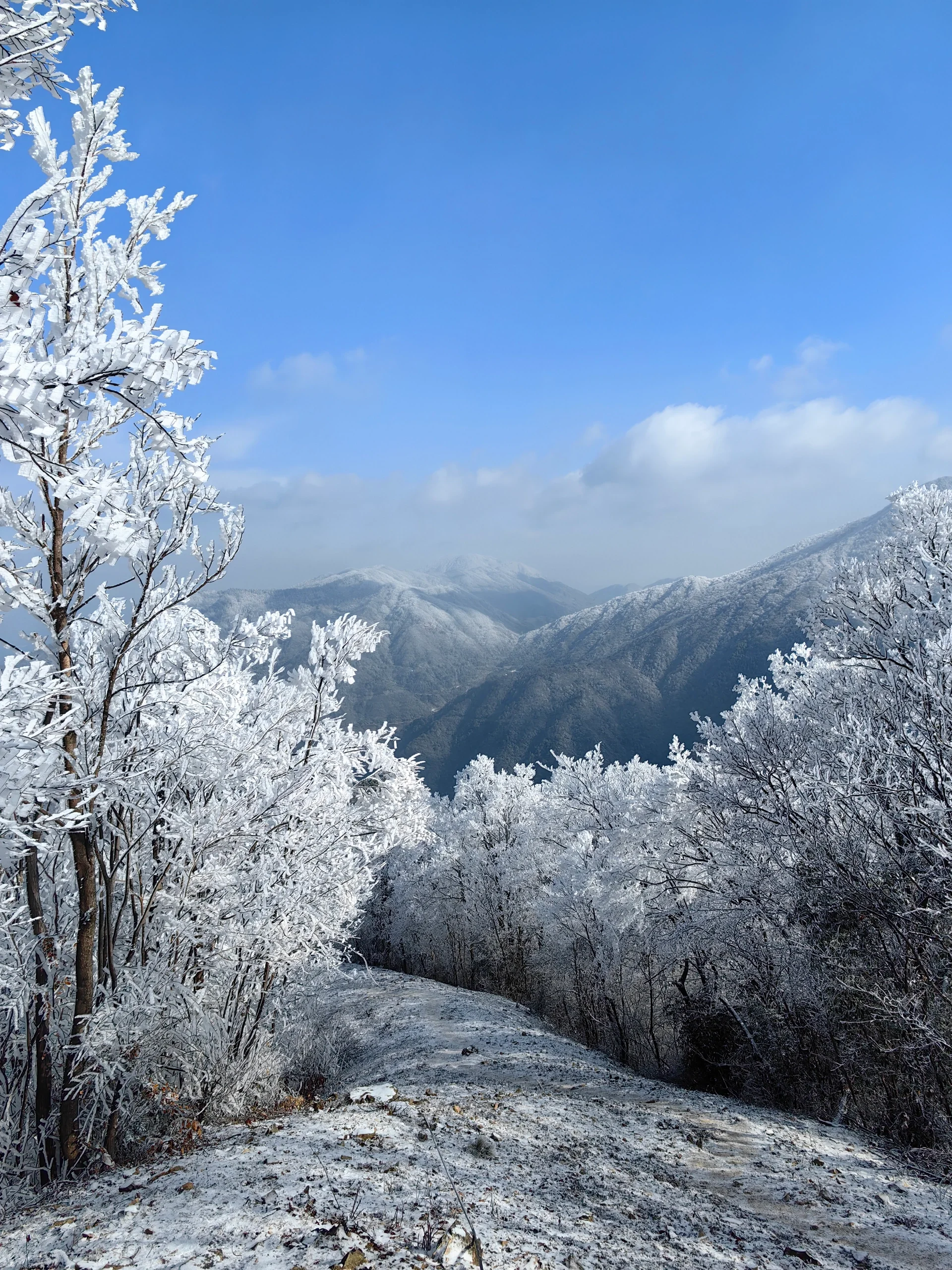 龙王山雪景很冻也很值