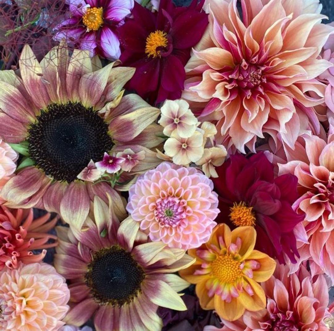 大丽花过冬不一定非要起根收藏等来年春天再种，很麻烦。
不起根的话就必须深埋。
在