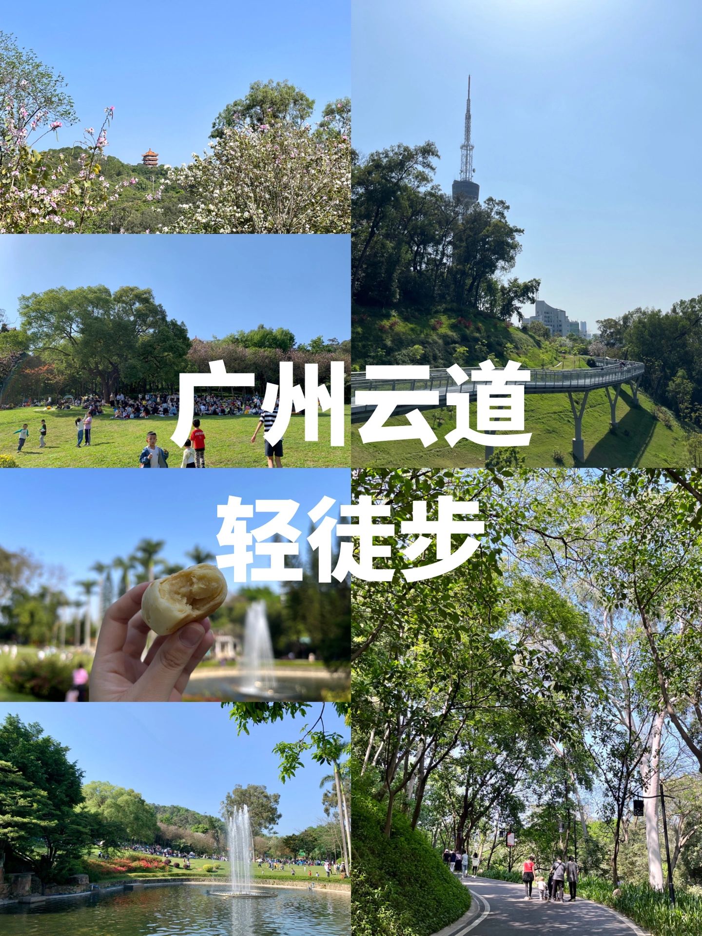 广州云道｜周末轻徒步好去处🍃