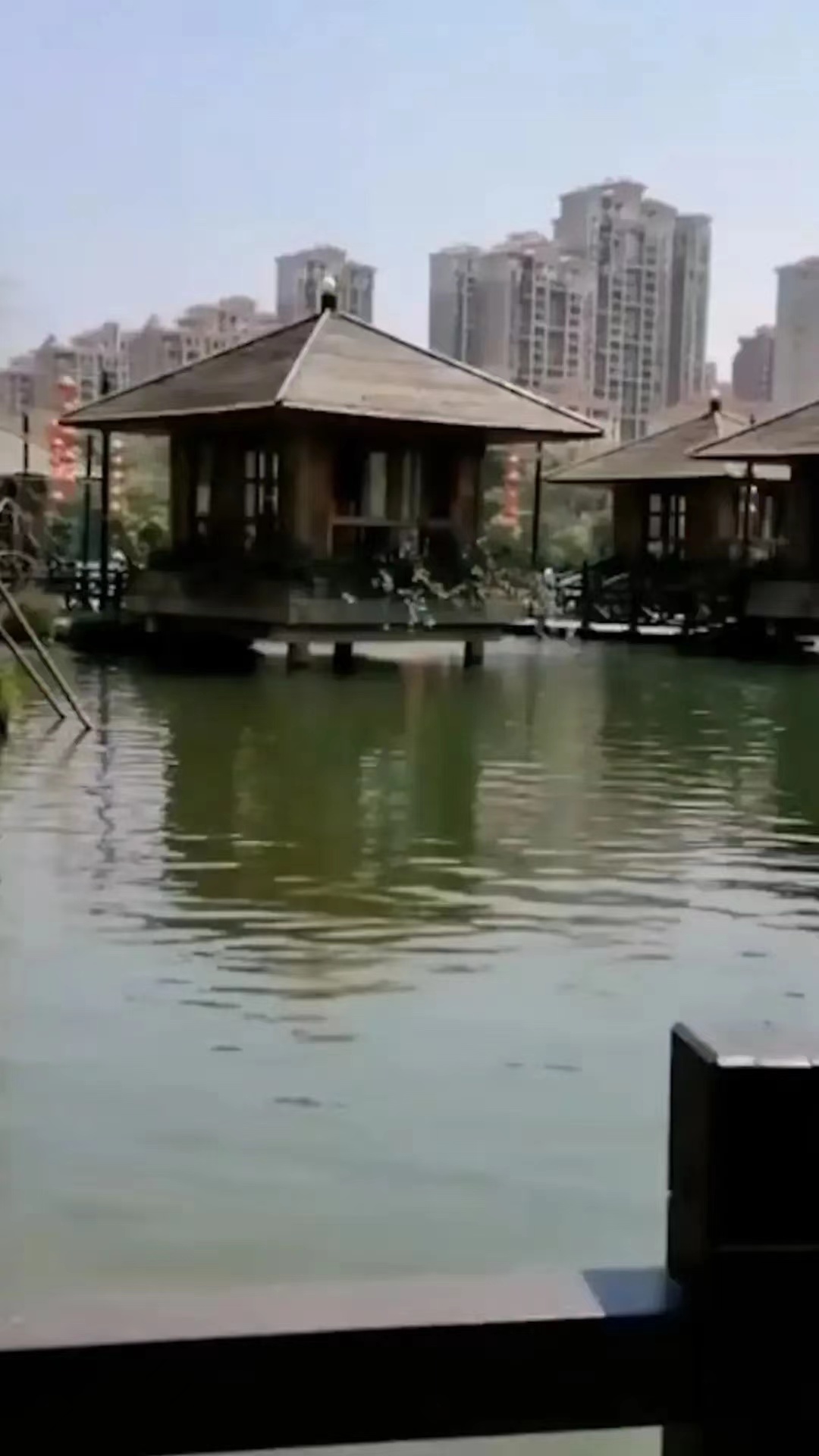 叹息！泉州市洛江区区长到水上餐厅吃饭不幸落水身亡，扼腕叹息！
11月12日上午，