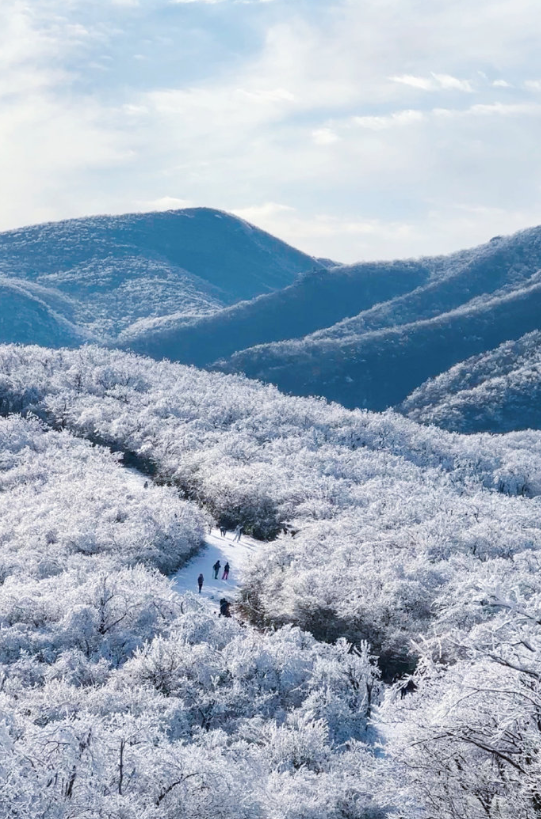 江浙第一高峰，龙王山赏雪。人太多，冰封路面踩烂了，趟着泥浆上山。没冰爪和登山杖会