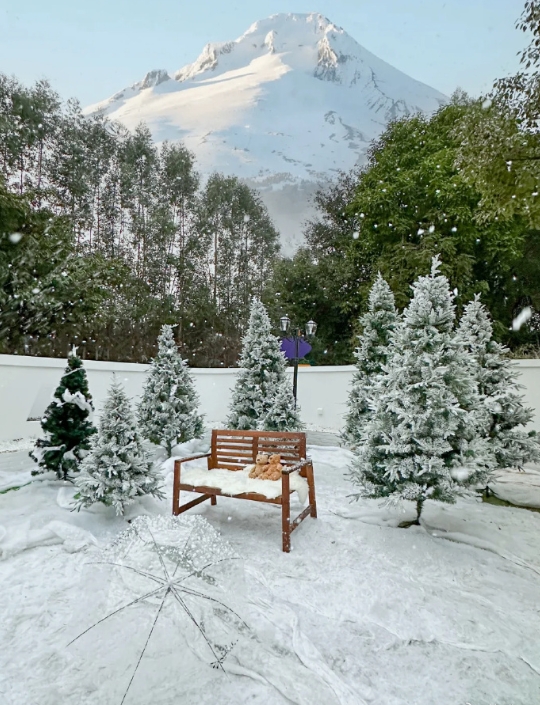 福州吃喝玩乐太绝了！
❄福州拍出的雪景！属于福州人自己的冰雪世界!!!❄不要门票