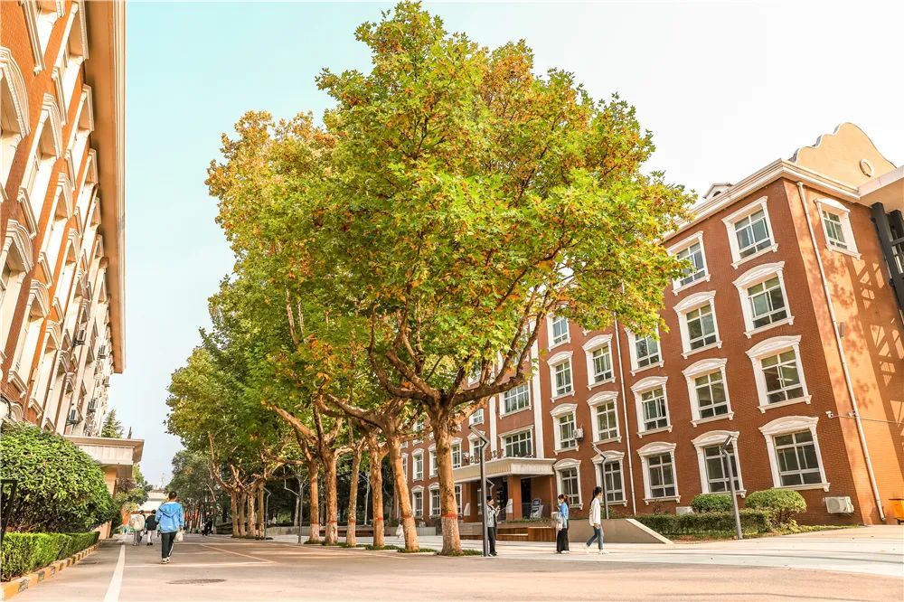 英文学院这样点燃学生学习热情……
英文学院是我校“双学科、多技能”
复合型英语人