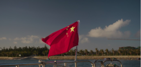 欢迎来到西沙群岛，这边好多大鱼！