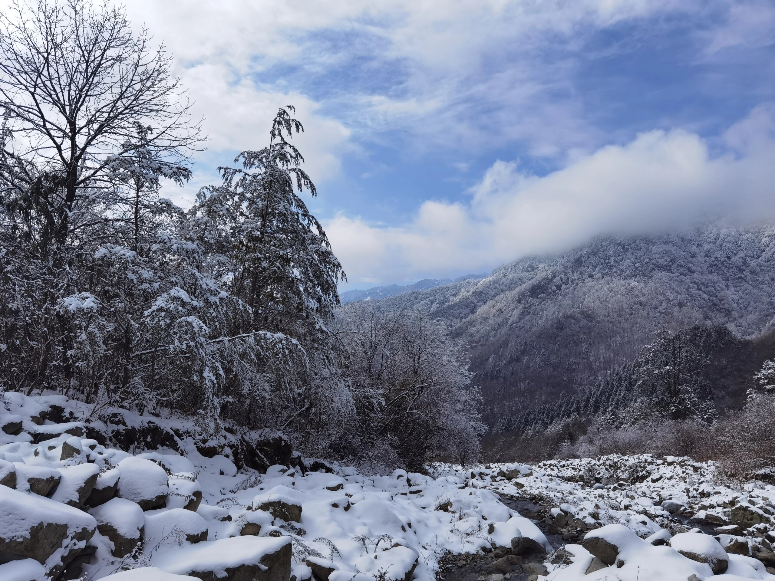 成都1.5h｜不是瓦屋山！免费玩雪地快冲