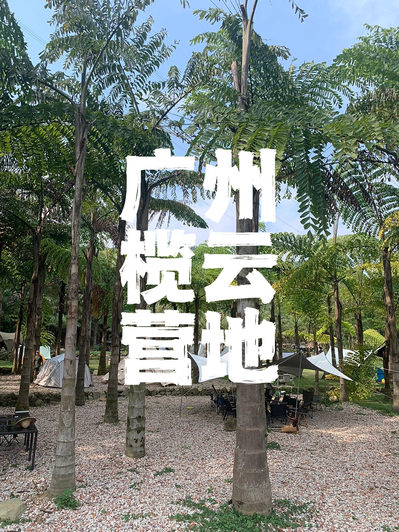 【探营】广州增城榄云营地^_^