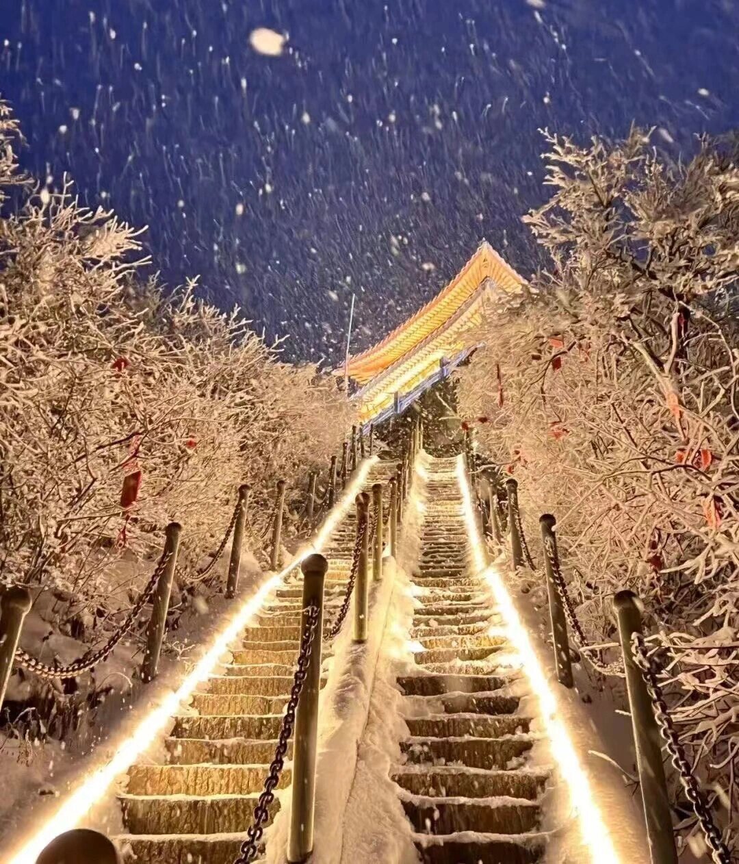 ⛰️老君山下雪了⚠️一波大雪又要来❗❗