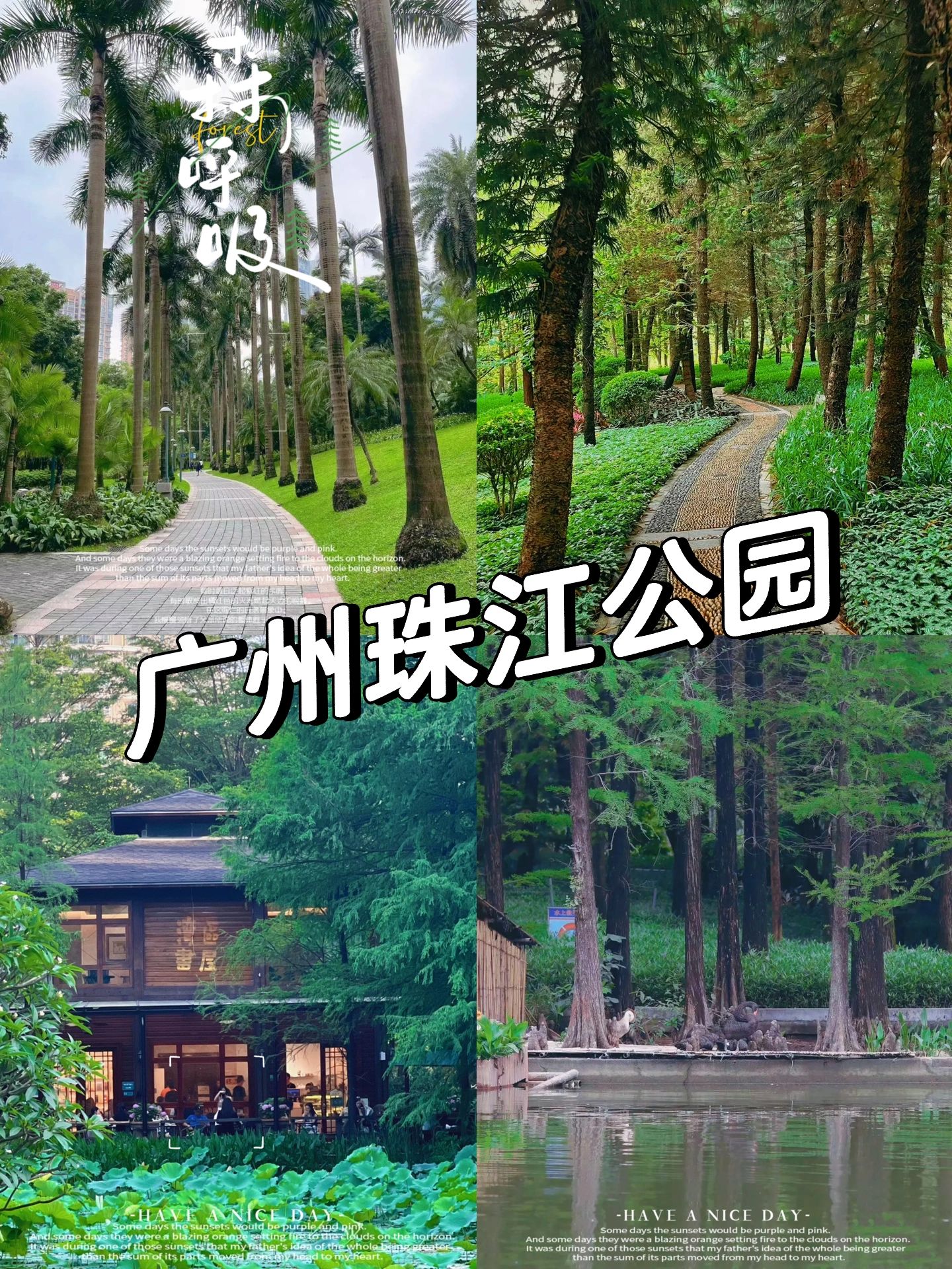 藏在广州CBD的珠江公园