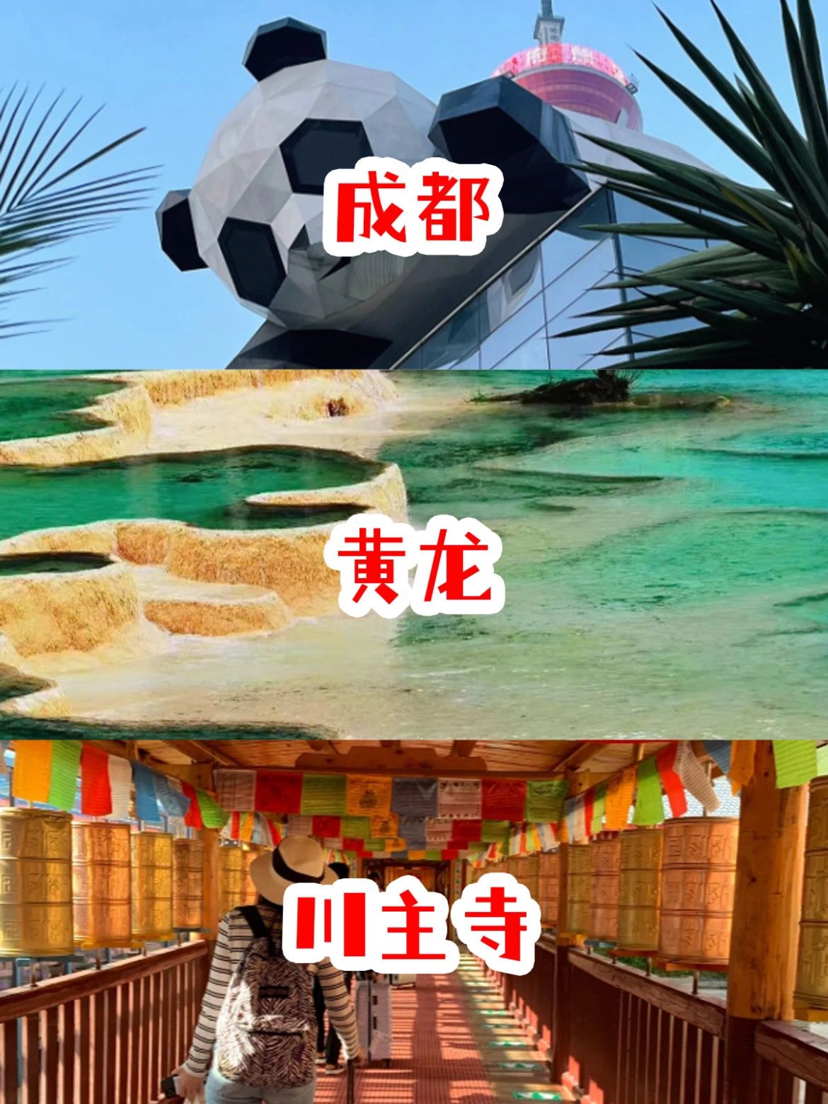 七天六晚吃遍四川，美食美景全都要