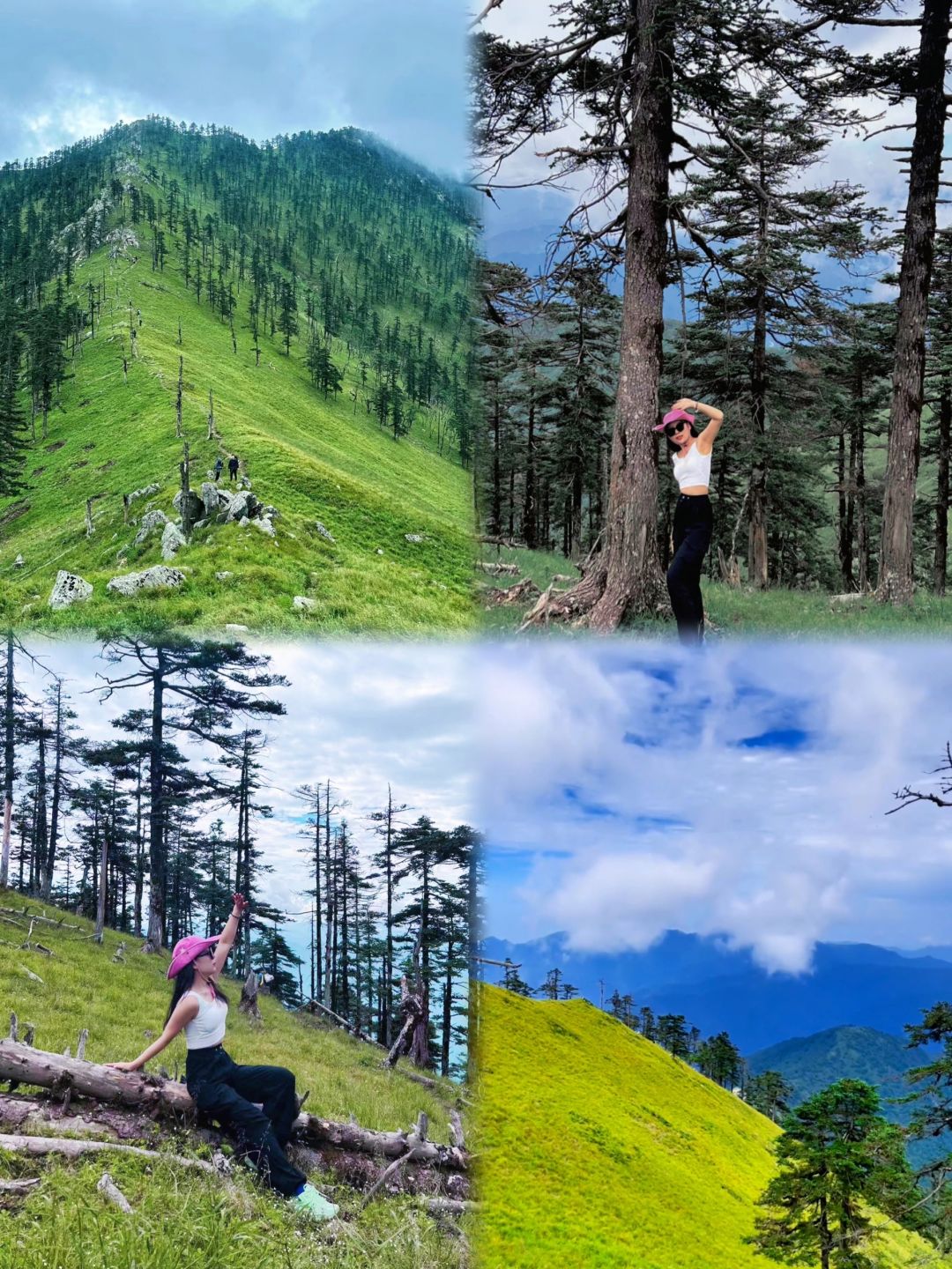 每周一山⛰️秦岭西光头山 探索原西光始森
西光头山，位于周至王家河镇，属于天华山