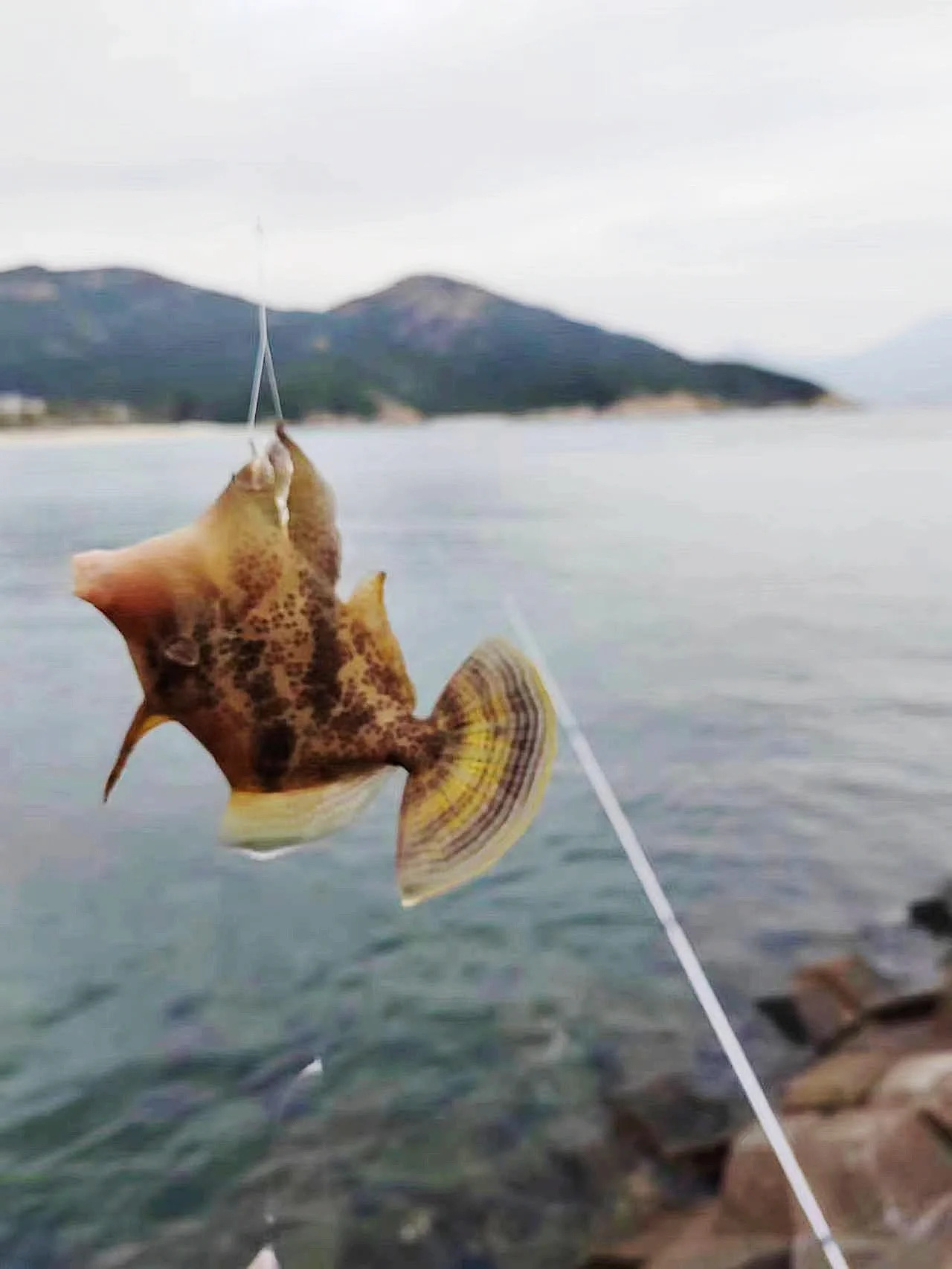 在深圳必玩，体验海钓，童年时光