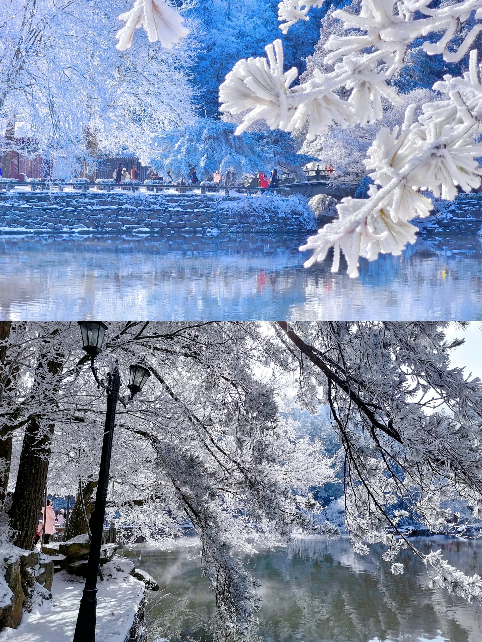 不是东北去不起！而是庐山更有性价比!!!