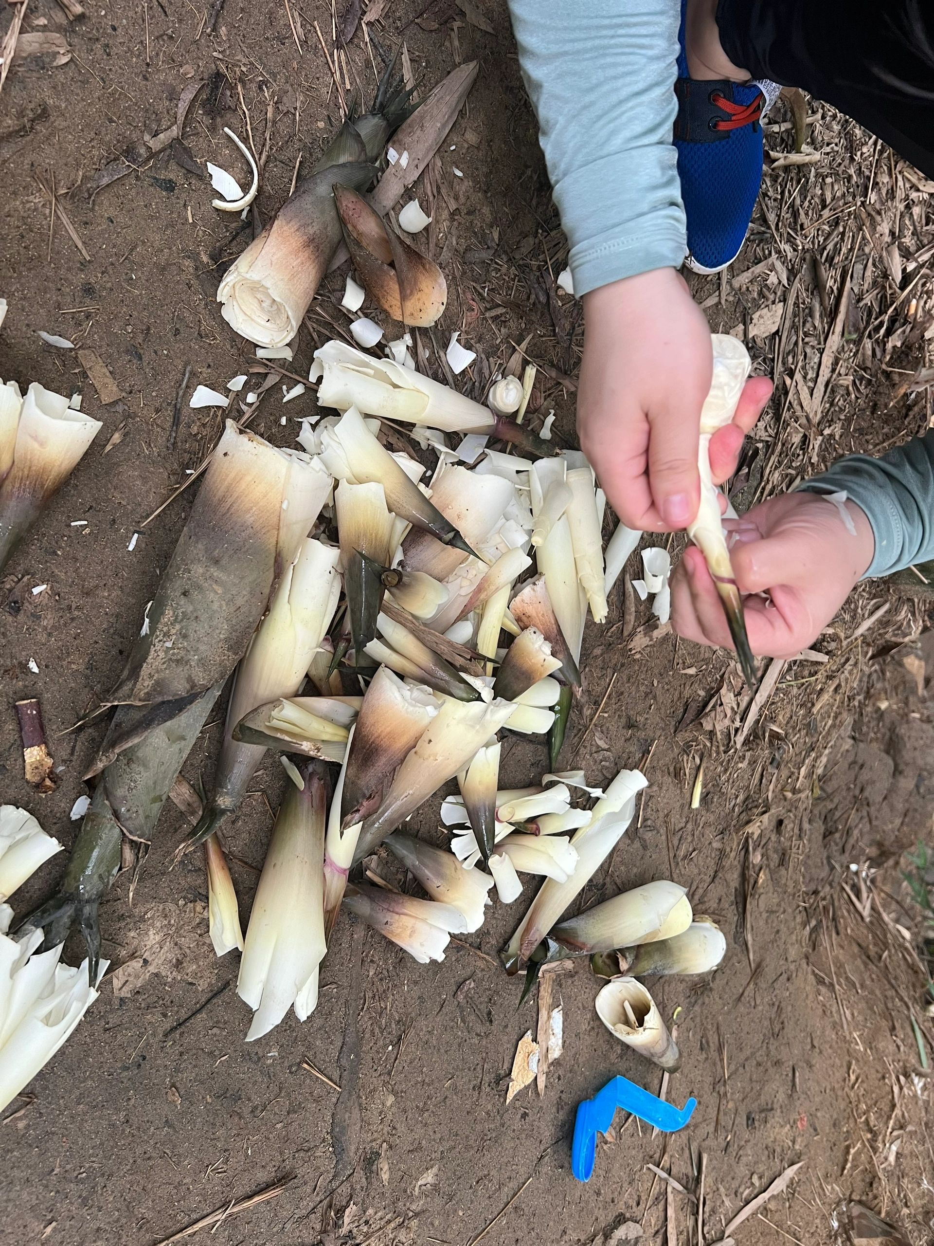 广州龙洞小众无人秘境溯溪
