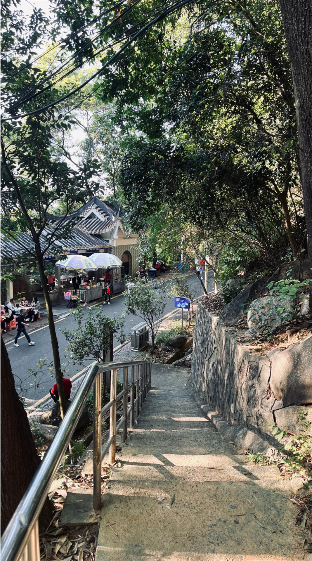 广州增城 | 蕉石岭森林公园-徒步好去处