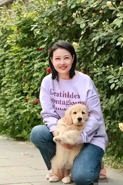 自从周海媚离开这个世界以后，她在北京的豪宅就失去了主人的照料，寂寞地空着。而她曾
